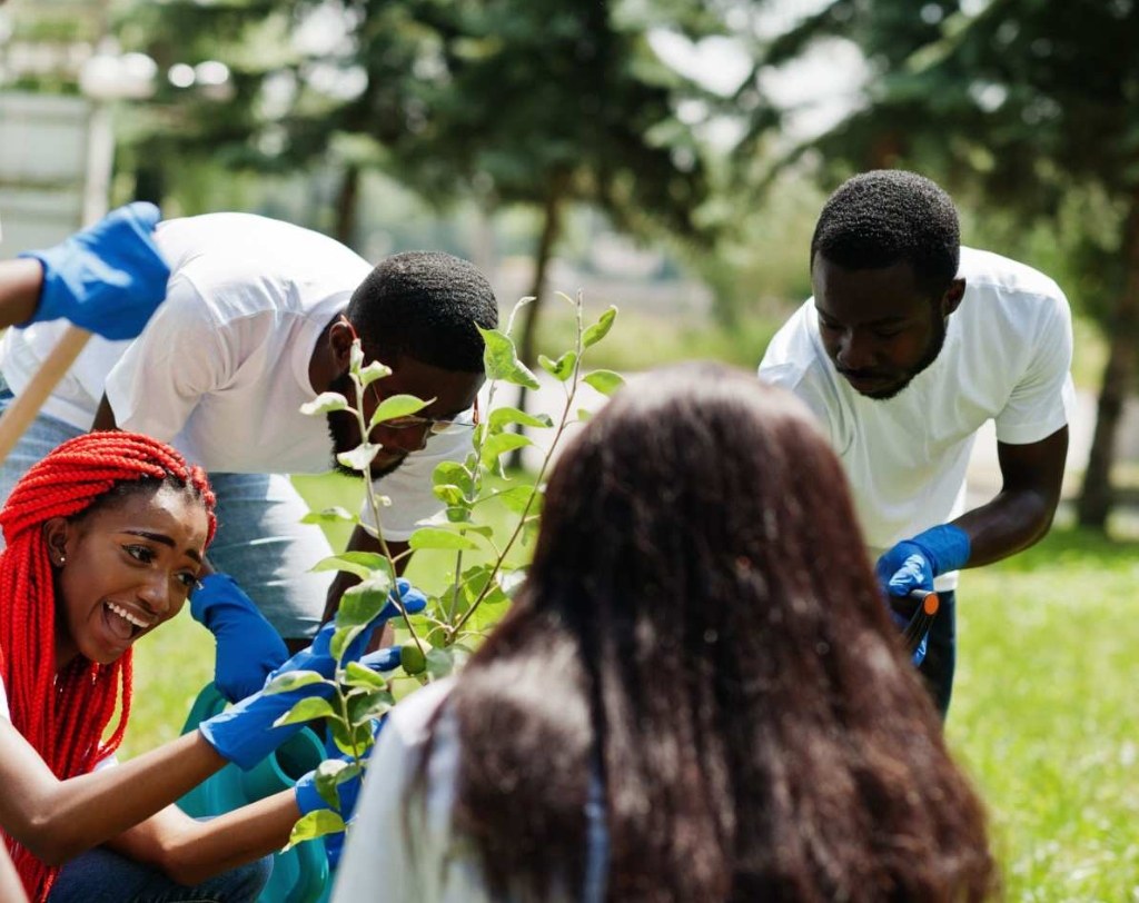 Community & Social Development Partners