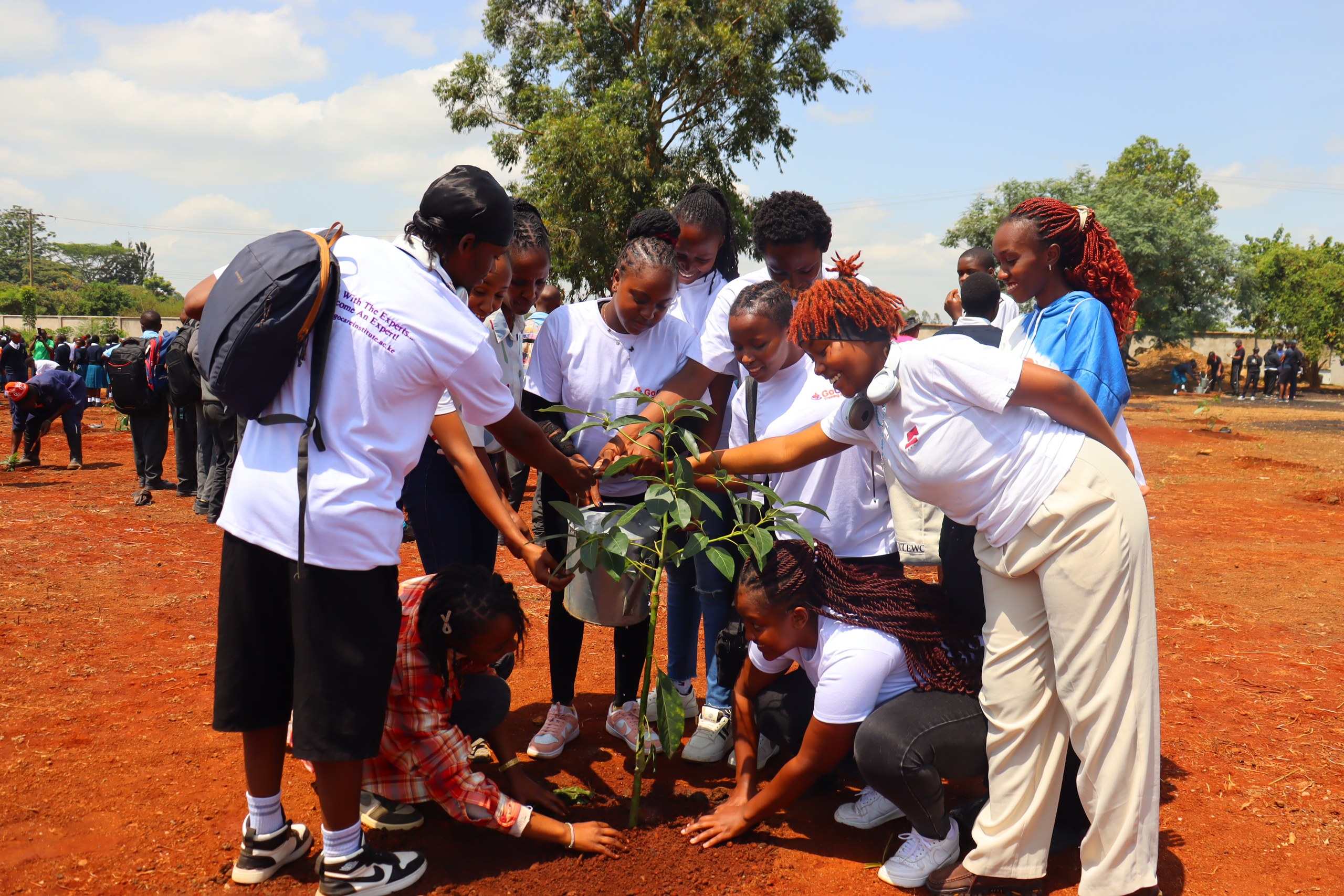 GoCare alumni tree planting community activity