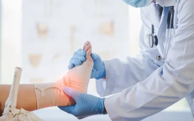 WhatsApp-Image-2025-01-27-at-17.58.41-1024x684