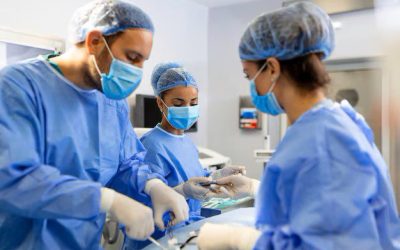 WhatsApp Image 2025-01-27 at 19.47.40